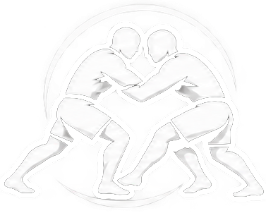 MMA a Casablanca Sidi Maarouf — Les Collines des Sports
